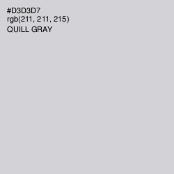 #D3D3D7 - Quill Gray Color Image